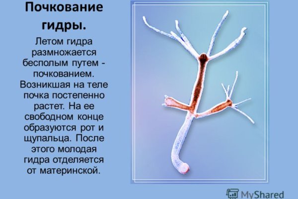 Сайты где купить наркотики