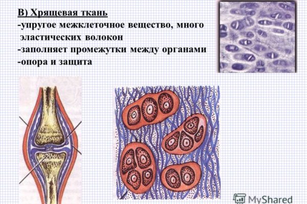Магазин кракен как попасть