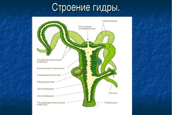 Ошибка на кракене