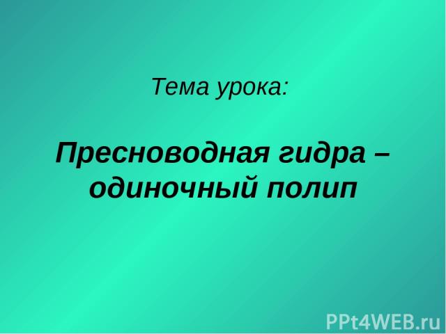 Solaris даркнет